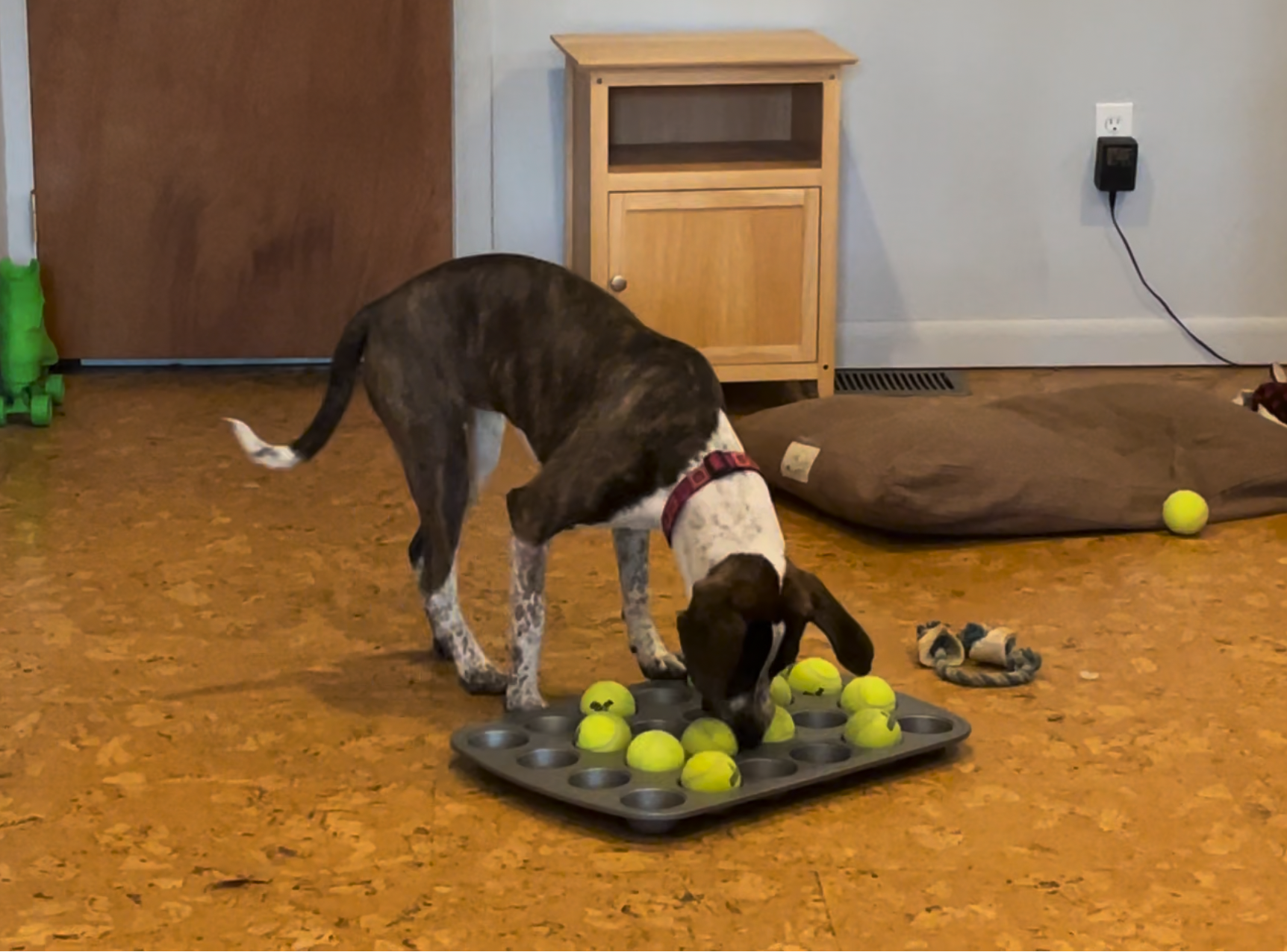 Indoor Fun with Household Objects